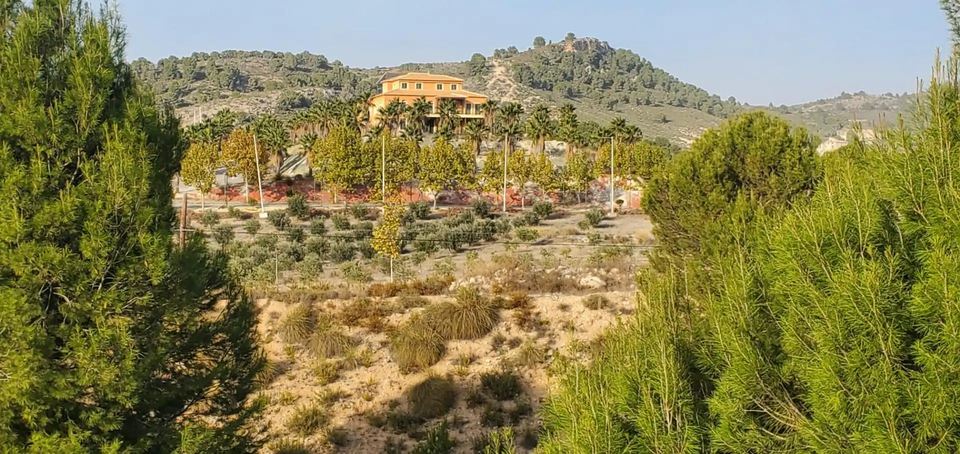 Casa rústica en venda a Mula, imagen 4