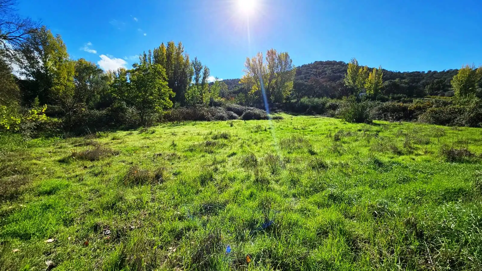 Terrenos y solares en venta en La Nava, imagen 8