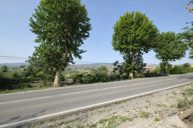 Rural land for sale in Avenida de Andalucía 108D, imagen 18