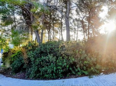 Terreno residencial en venta en Can Lloses - Can Marcer
