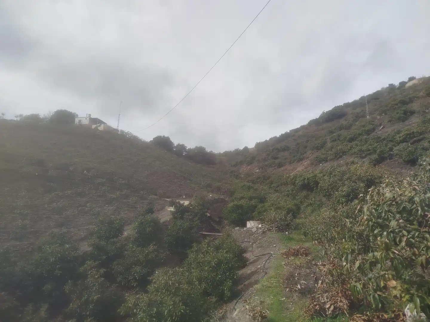 Finca rústica en venda en Vélez-Málaga amb Jardí privat, Traster i Moblat