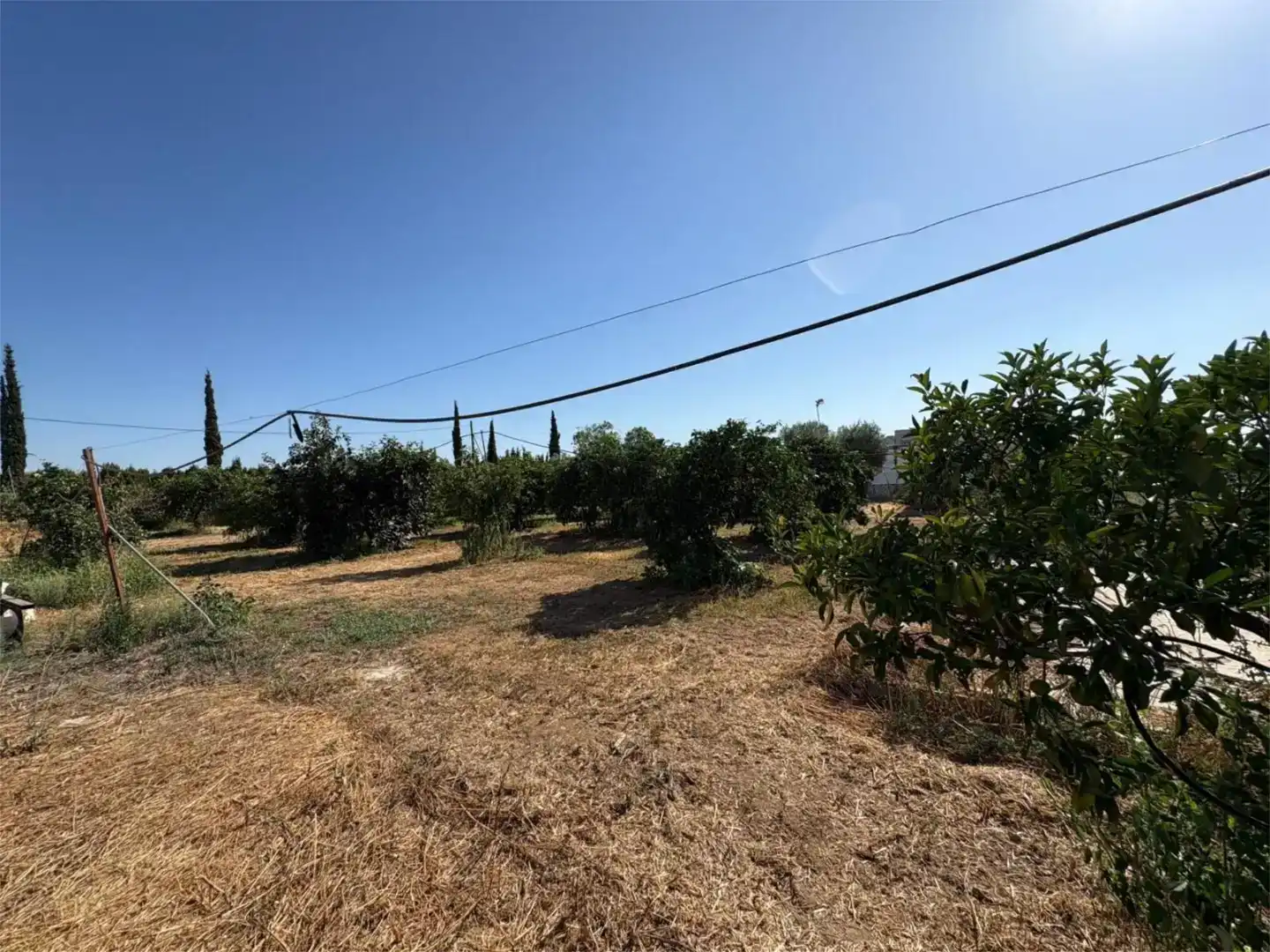 Finca rústica en venta en La Algaba con Piscina