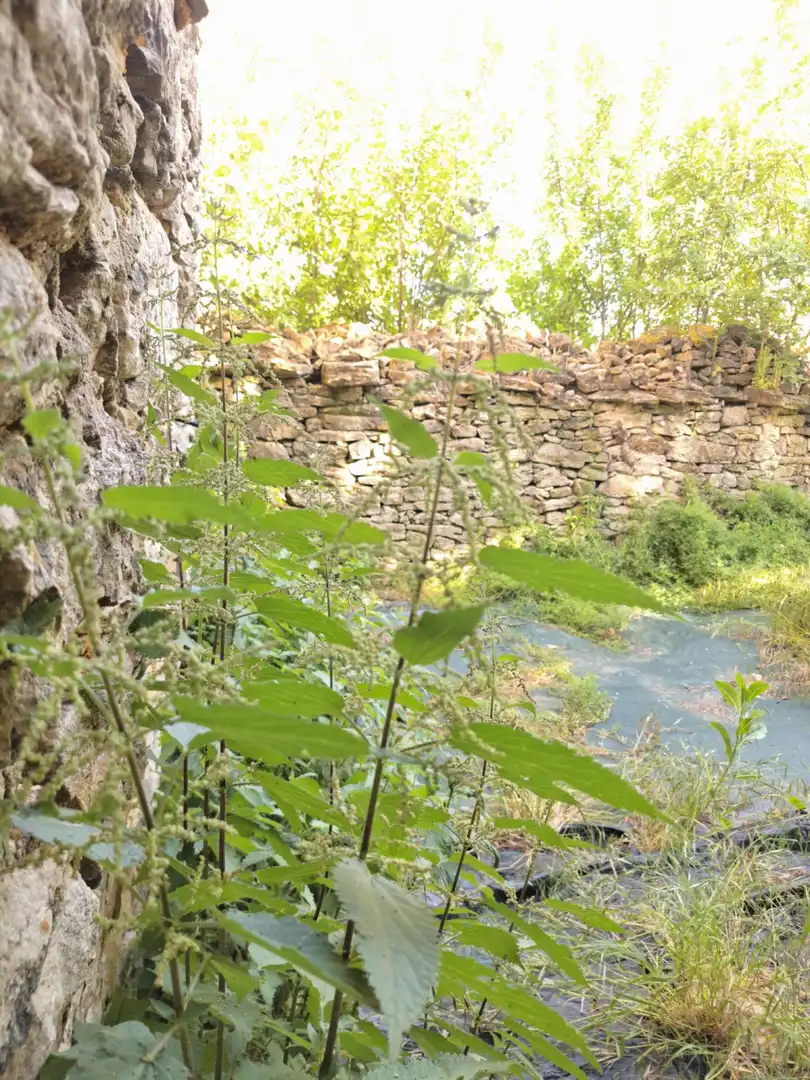 Jardí de Casa o xalet en venda en Pomar de Valdivia amb Traster i Moblat