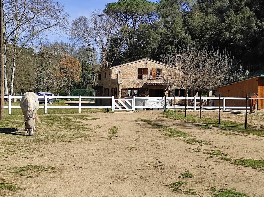 Vista exterior de Finca rústica en venda en Fogars de la Selva amb Terrassa i Traster
