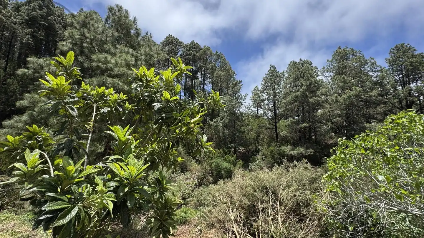 Lands and plots for sale in La Peña 1, imagen 24