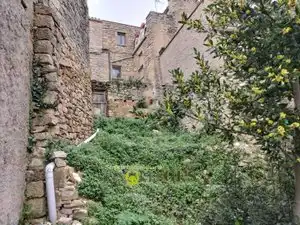 Residential zum Verkauf in Passanant i Belltall