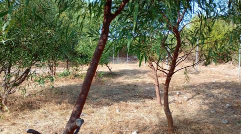 Photo 2 of Residential for sale in Los Caños de Meca, Cádiz