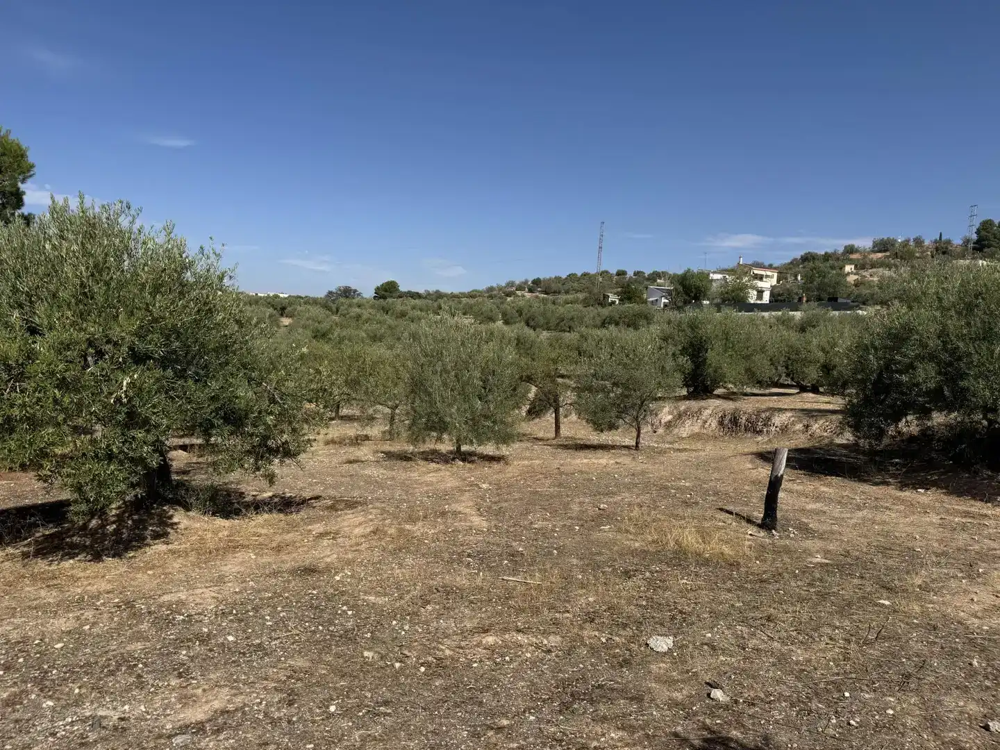 Finca rústica en venda en Peligros, Granada