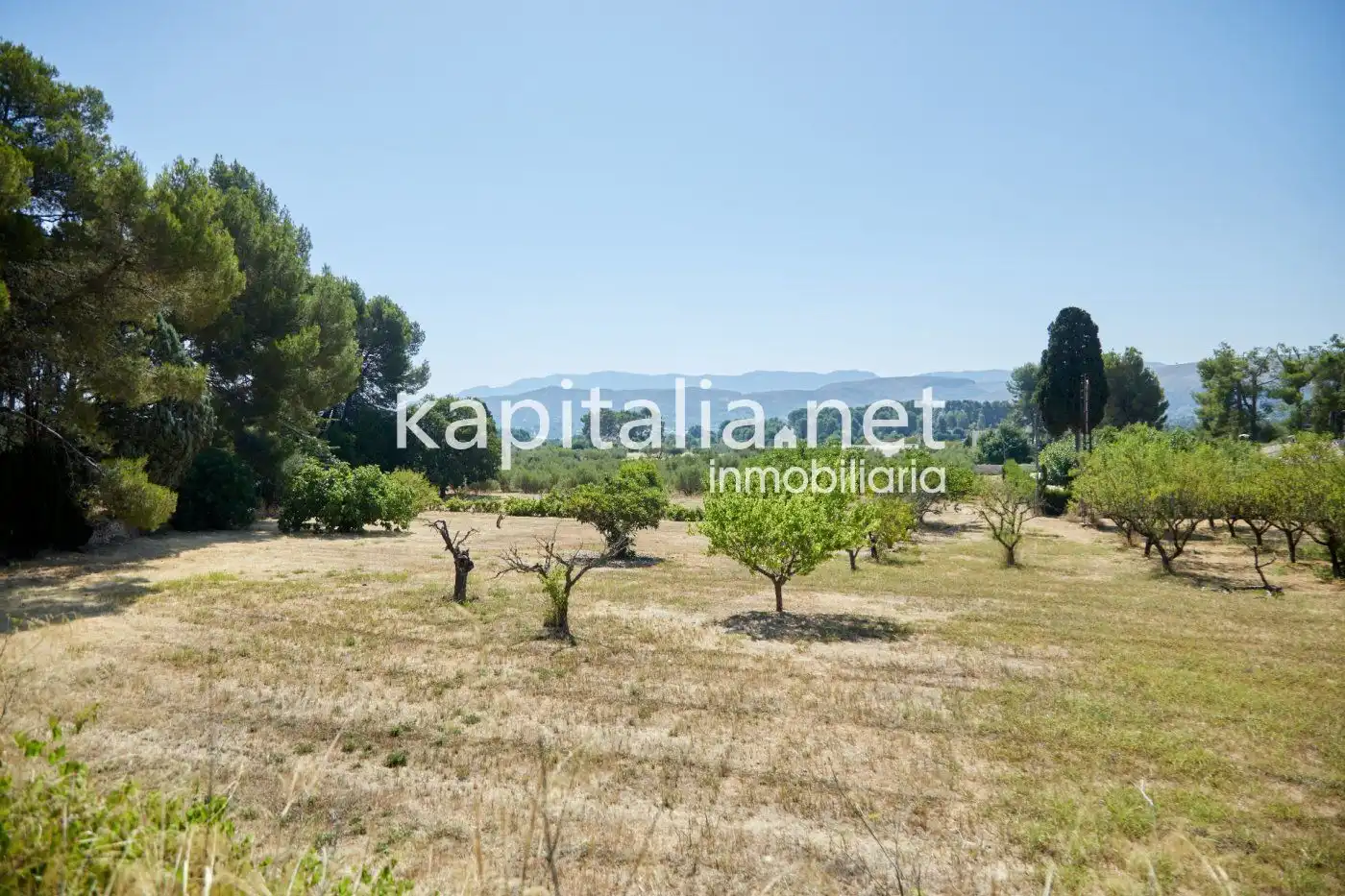 Chalet en venta en El Pilar, imagen 79