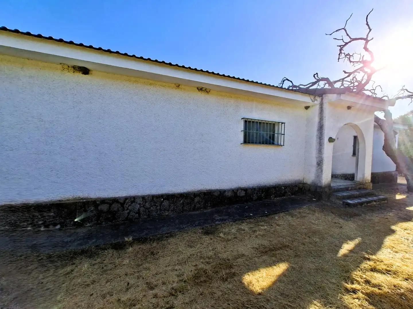 Vista exterior de Casa o chalet en venta en Guillena con Aire acondicionado, Jardín privado y Terraza
