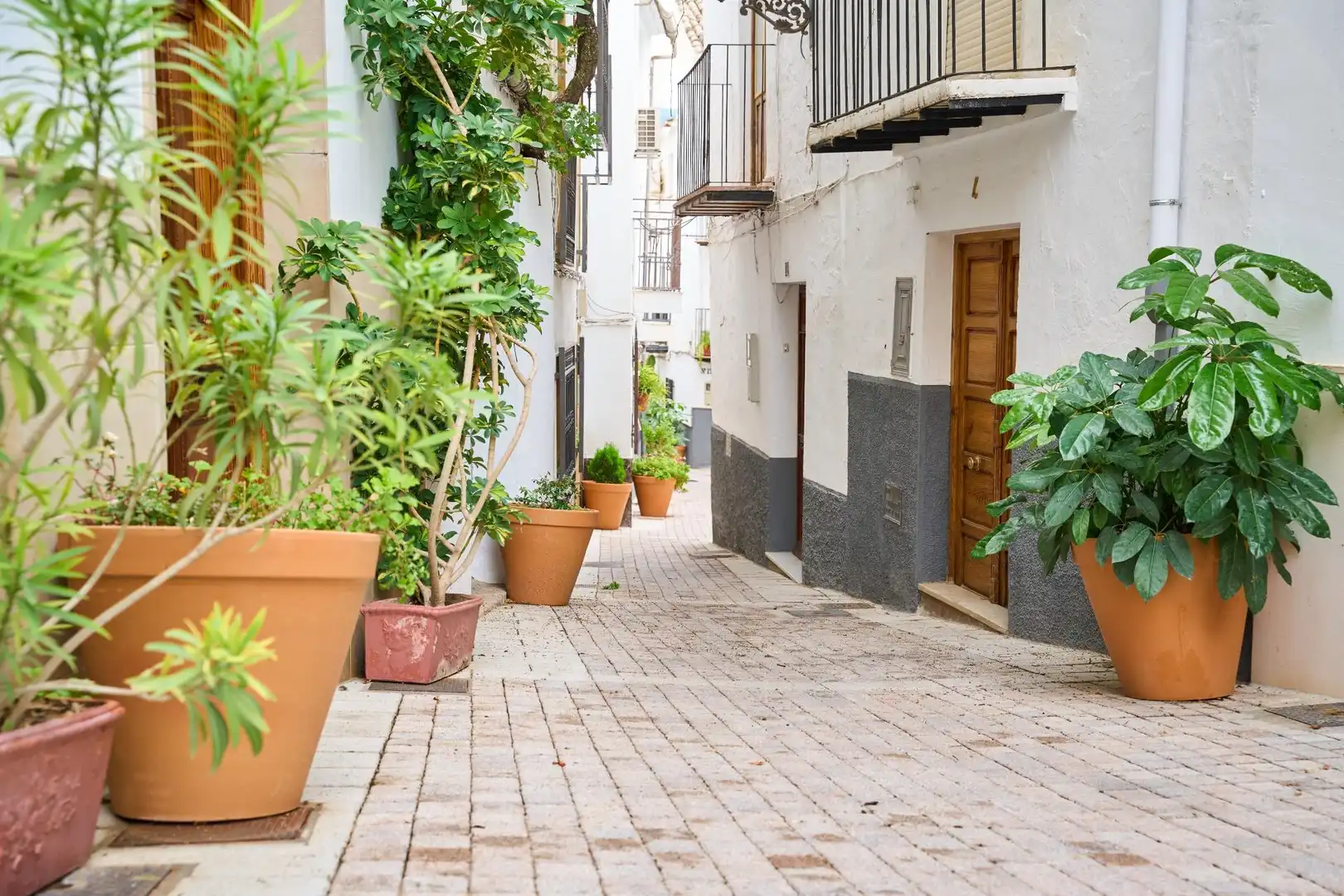 Exterior view of Buildings for sale in Quesada