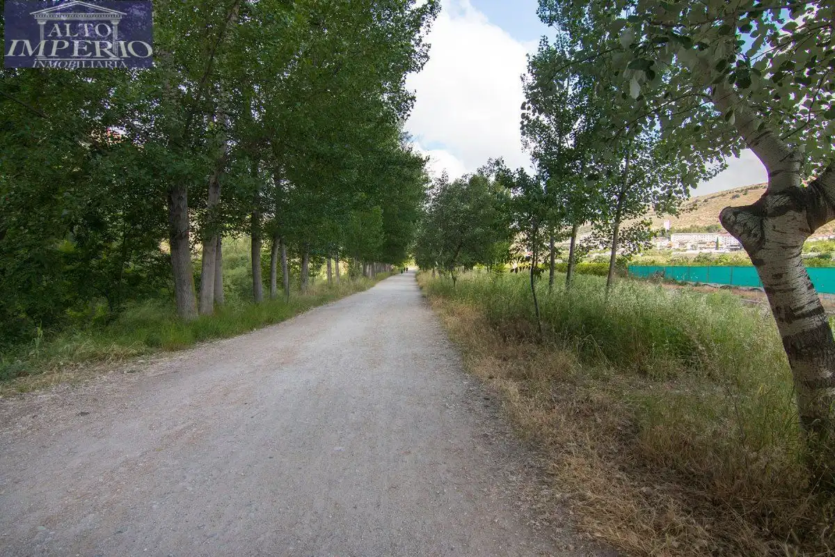 Vista exterior de Finca rústica en venta en Granada