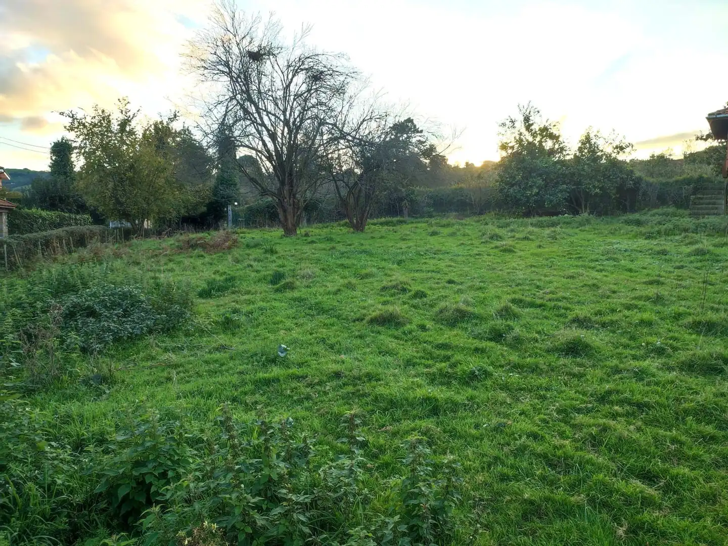 Terreny residencial en venda a Rural, imagen 5