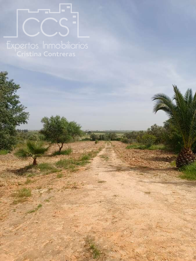 Country house for sale in Rociana del Condado  with Private garden, Swimming Pool and Furnished