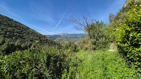 Foto 2 de Finca rústica en venda a Alozaina, Málaga