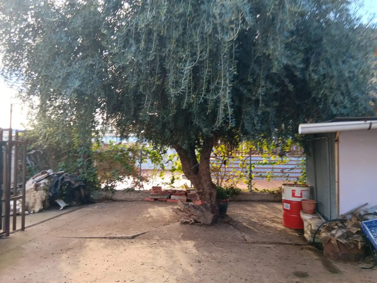 Garden of Industrial buildings for sale in Murcia