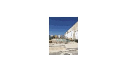 SUELOS en AV DE LES CENDROSSES, SUECA, imatge 3