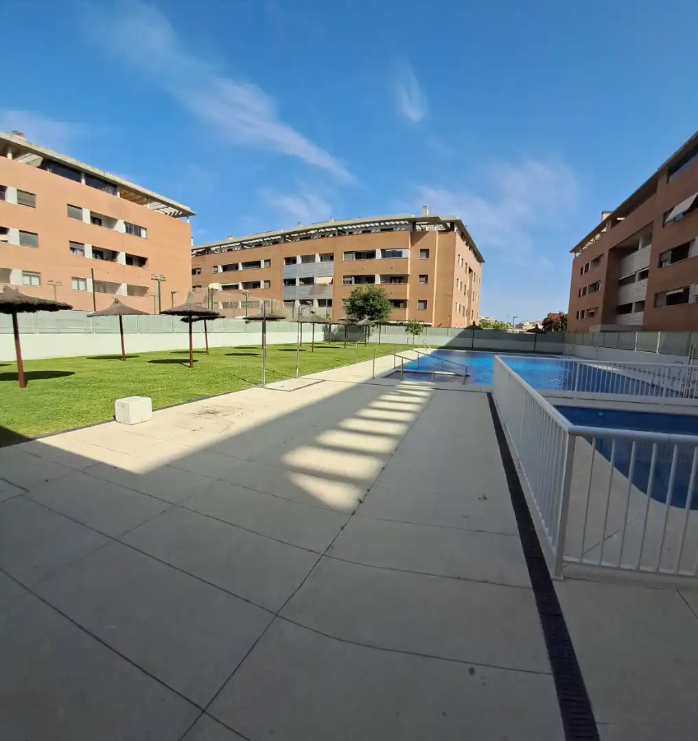 Swimming pool of Flat for rent in Mairena del Aljarafe  with Air Conditioner and Community pool