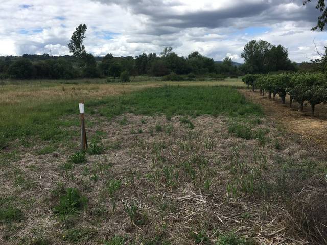 Terreno residencial en Venta en Camponaraya