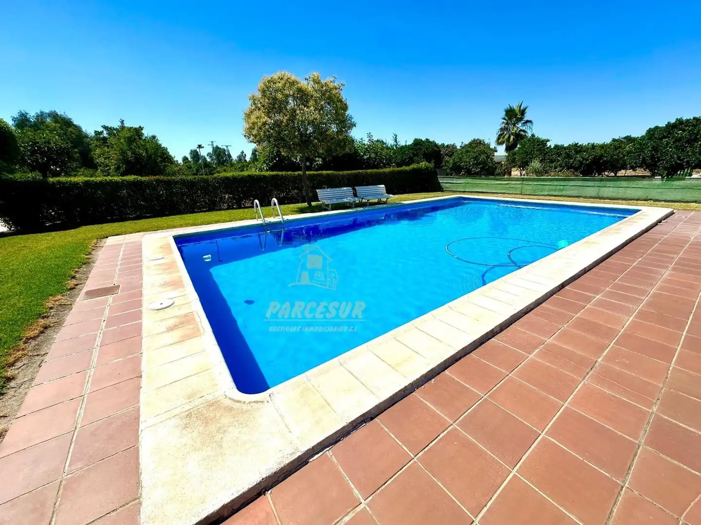 Swimming pool of Country homes for sale in Córdoba  with Storage room and Swimming Pool