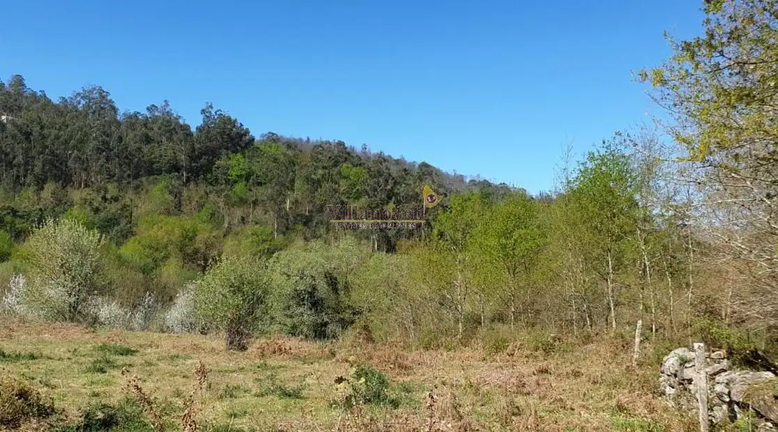 Lands and plots for sale in Mondariz, imagen 7