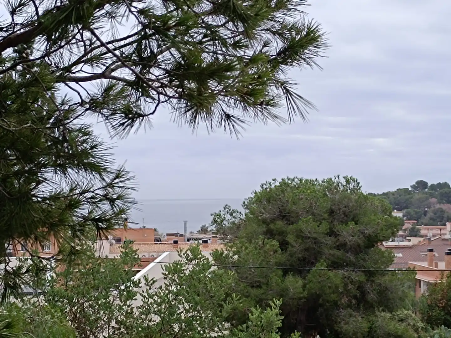 Terreny residencial en venda a Llevant, imagen 10