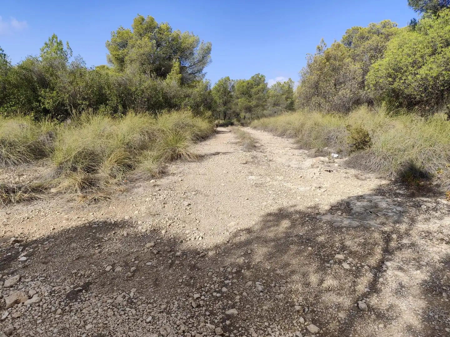 Terrenys i solars en venda a Totana, imagen 23