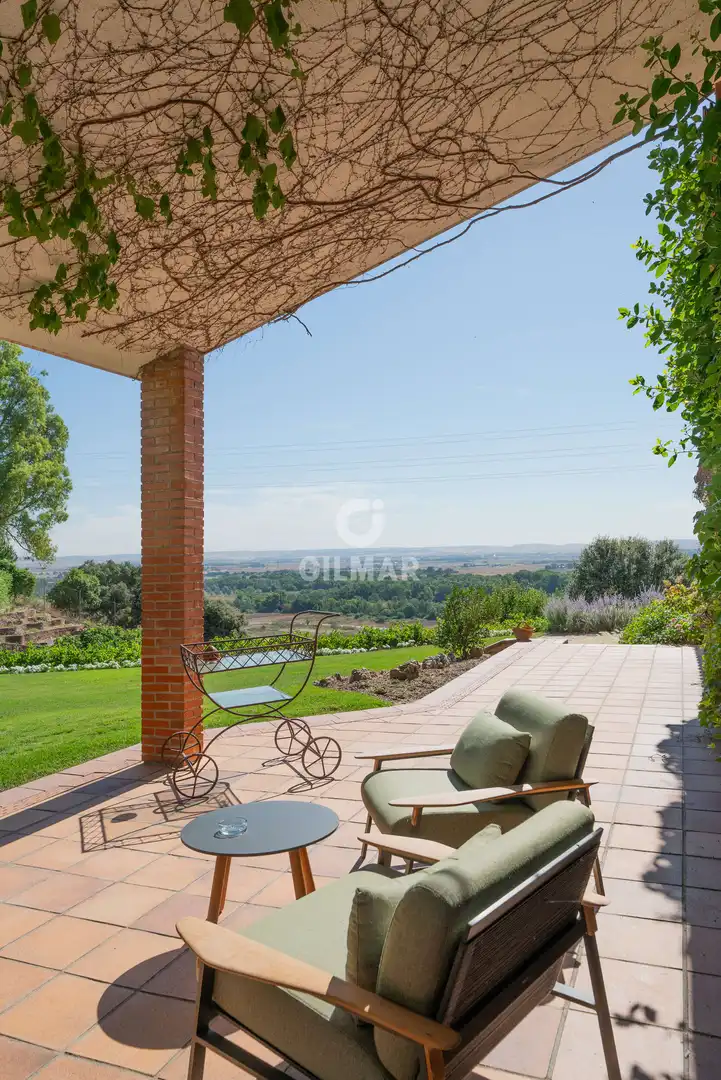 Jardín de Casa o chalet en venta en Algete con Piscina
