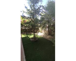 Garden of House or chalet for sale in Ocaña  with Air Conditioner, Heating and Private garden