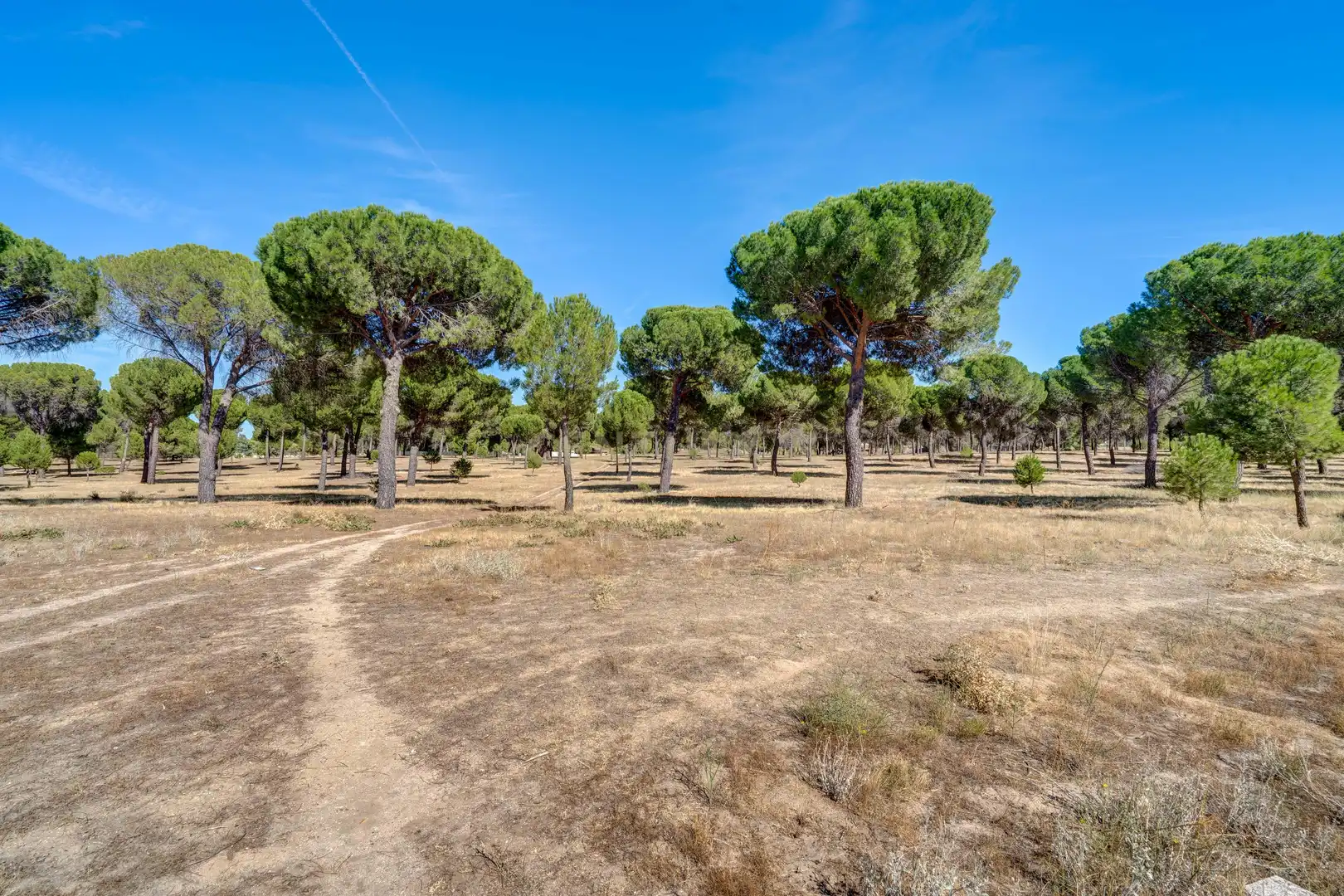 Casa o chalet en venta en Valdestillas, Valladolid