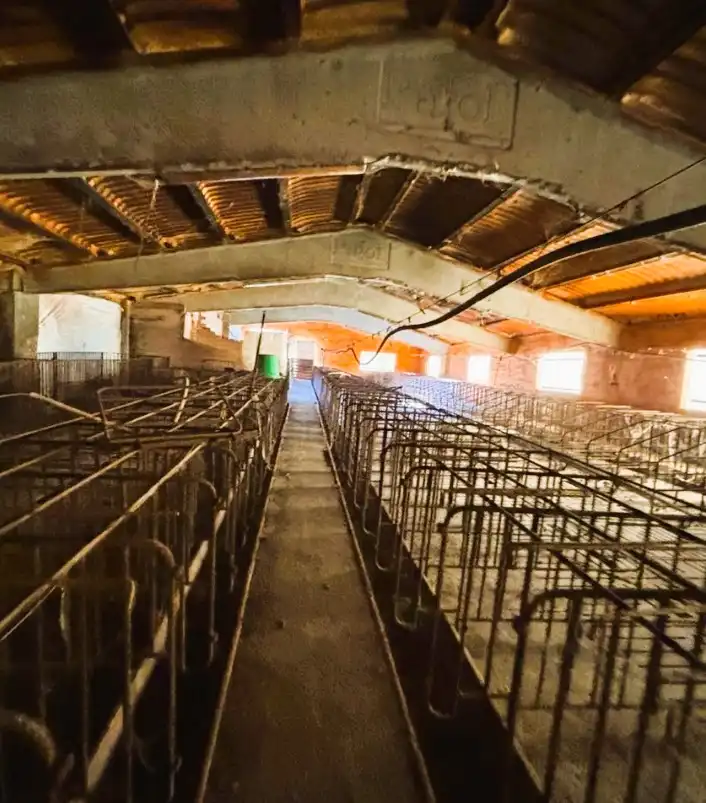 Terreno rústico en venta en Sant Martí de Riucorb, imagen 3