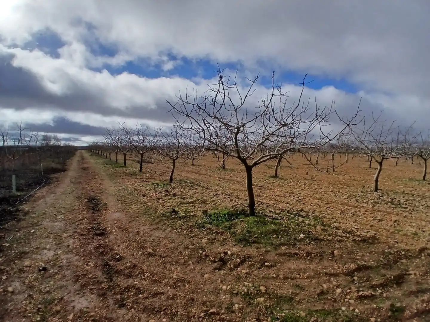 Rural land for sale in Carretera Solana, imagen 36