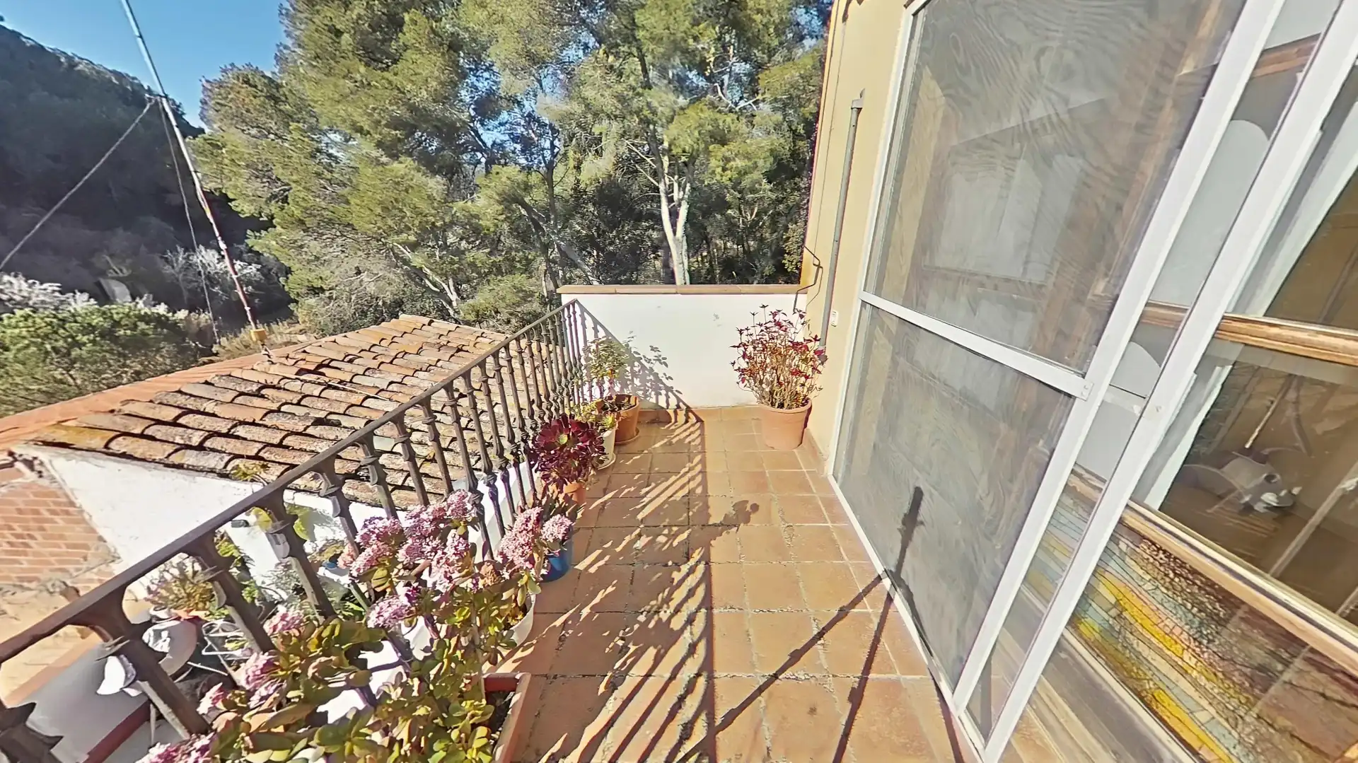 Detached homes for sale in Piera
