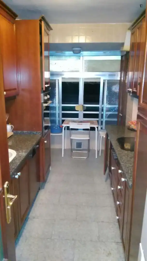 Kitchen of Apartments for share in Sevilla  with Furnished, Washing machine and Internet