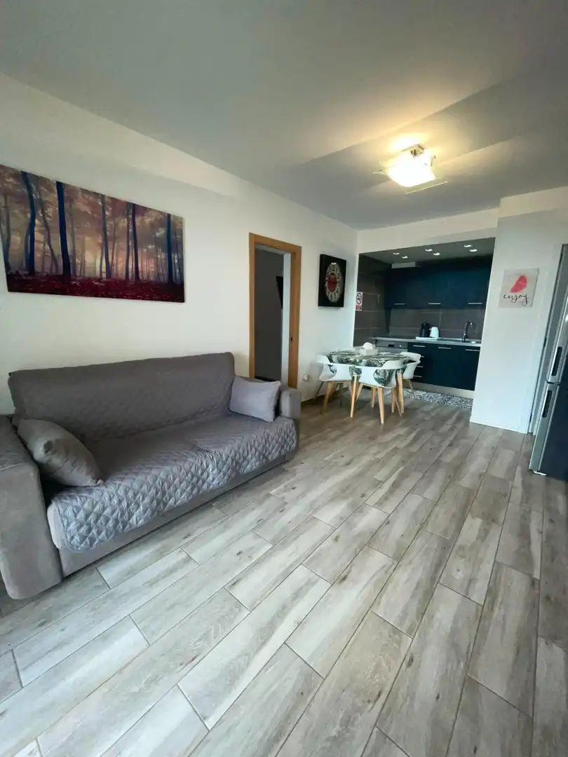 Apartamento con piscina en alquiler en Calle Montañita, imagen 15