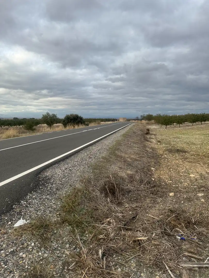 Terreny rústic en venda a Sant Martí de Riucorb, imagen 5