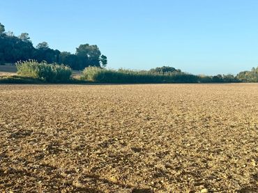 Rural land for sale in Maria de la Salut