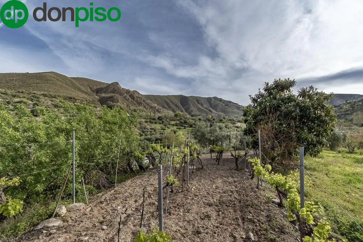 Finca rústica en venda en Monachil