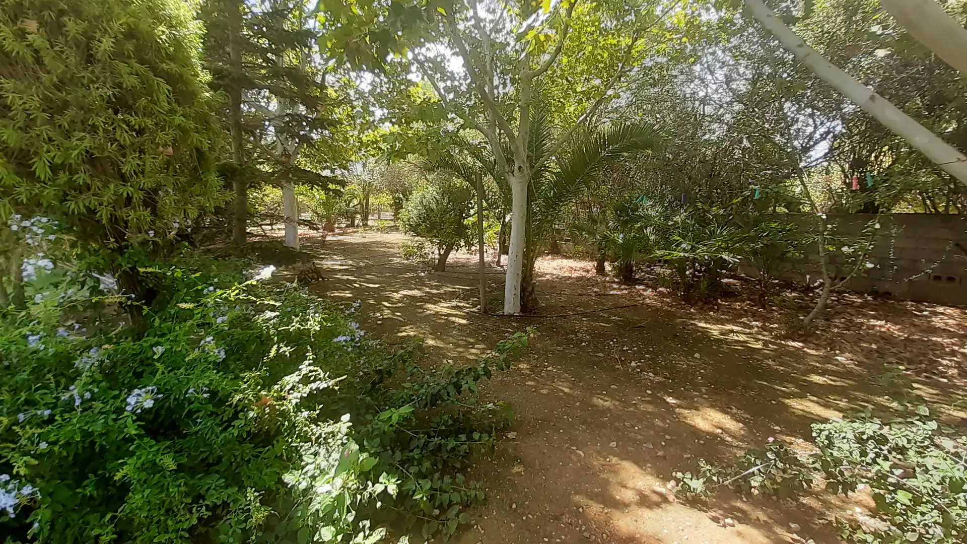 Chalet con terraza en venta en Camí Cabanes 267, imagen 24