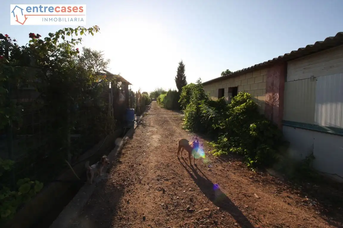 Houses for sale in Corinto - Almarda