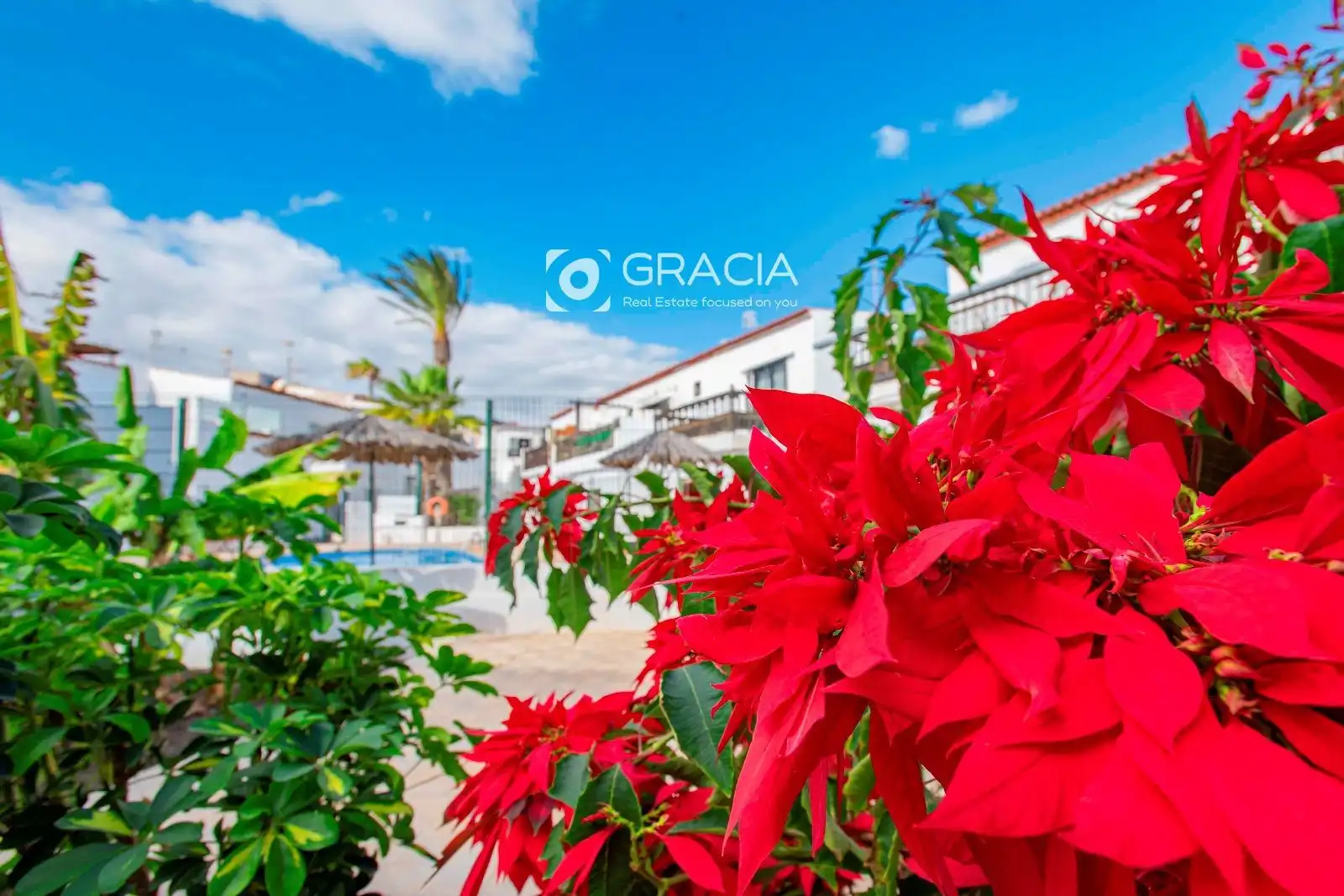 Maisonette mit Pool zum Verkauf in Jose Antonio Tavio, imagen 26