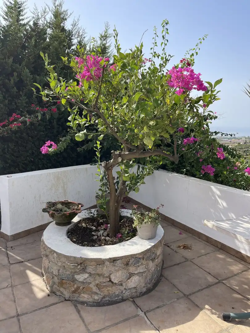 Terrassa de Finca rústica en venda en Salobreña amb Piscina
