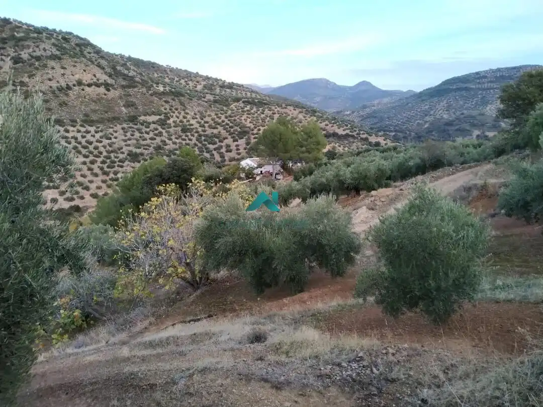 Casa rústica en venda a Fuensanta de Martos, imagen 12