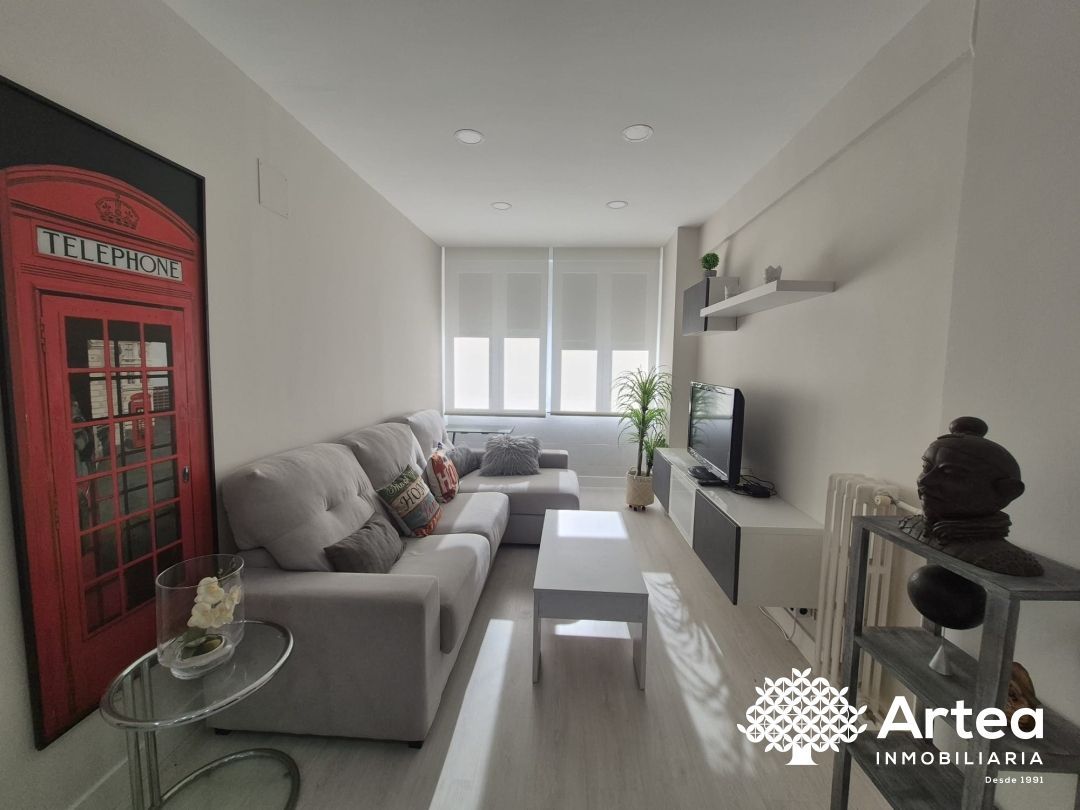 Living room of Flat to rent in Getxo   with Oven, Washing machine and Microwave
