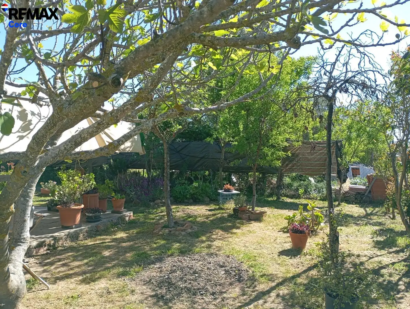 Jardí de Casa o xalet en venda en Cáceres amb Aire condicionat, Calefacció i Jardí privat