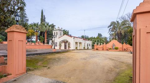 Foto 5 de Finca rústica en venda a Olivares, Sevilla