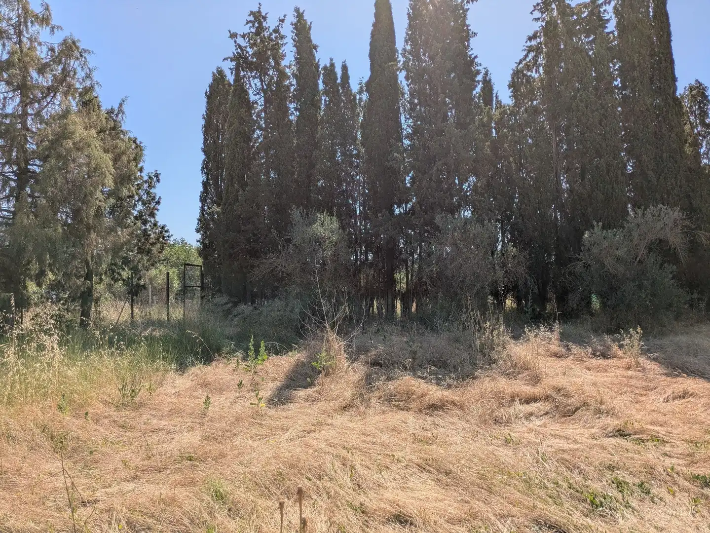 Land for sale in Castejón del Puente