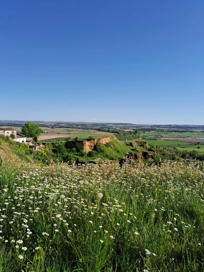 Jardín de Casa o chalet en venta en Toro con Jardín privado