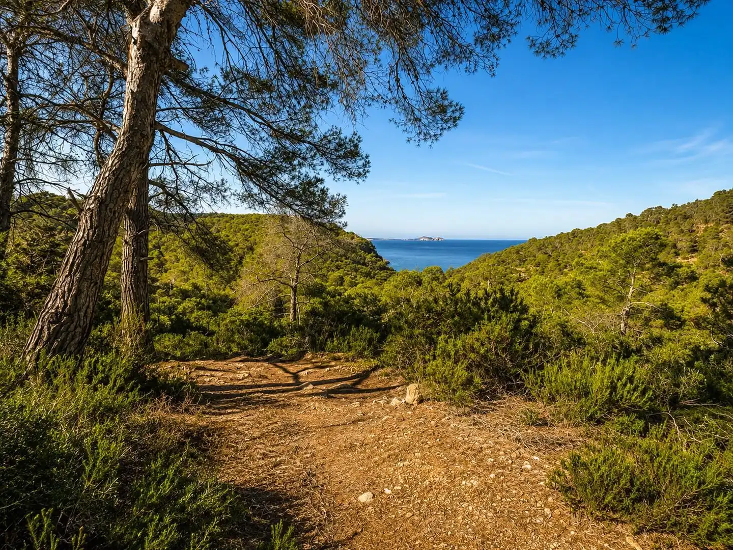 Land for sale in Sant Antoni de Portmany