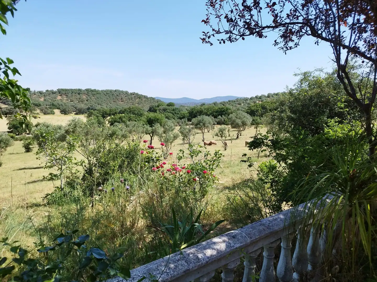 Jardí de Finca rústica en venda en Almadén de la Plata amb Jardí privat